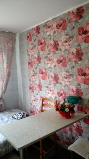 Guest House on Lysaya Gora